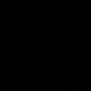 Meet your Posher, Aaliyah